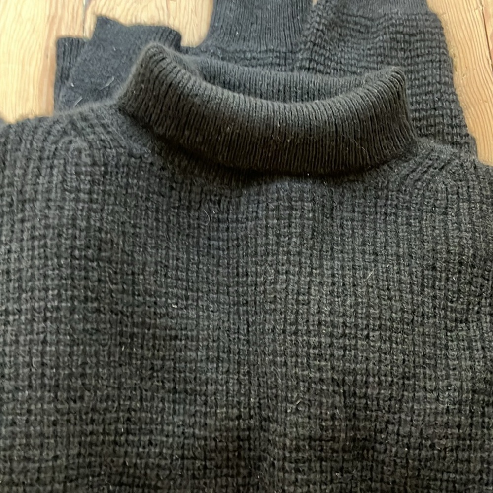 Everlane cashmere mock/ turtleneck